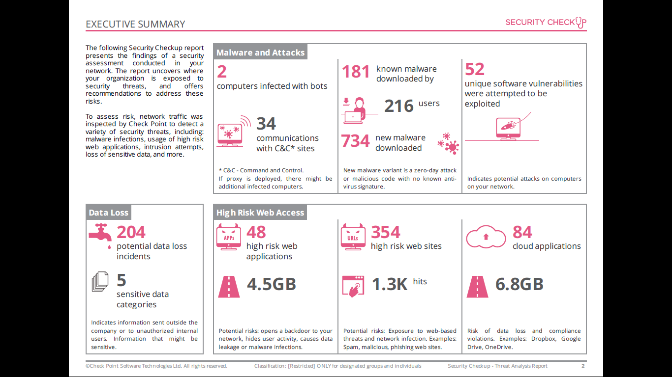 Security Checkup Executive Summary