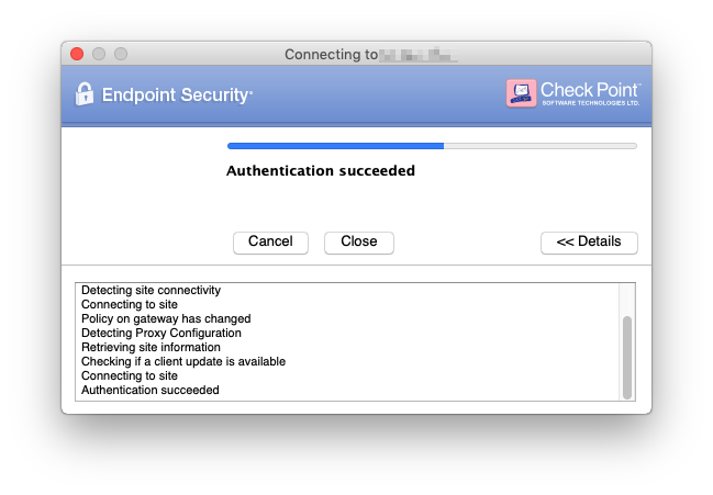 check endpoint security vpn