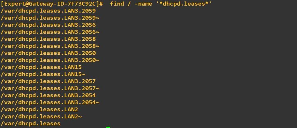 dhcp.leases.JPG