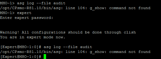 audit.png