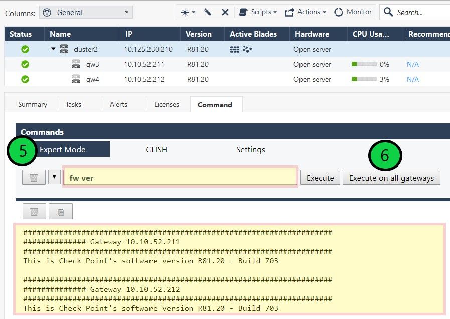 execute-cli-commands-on-all-gateways-simultaneousl-check-point