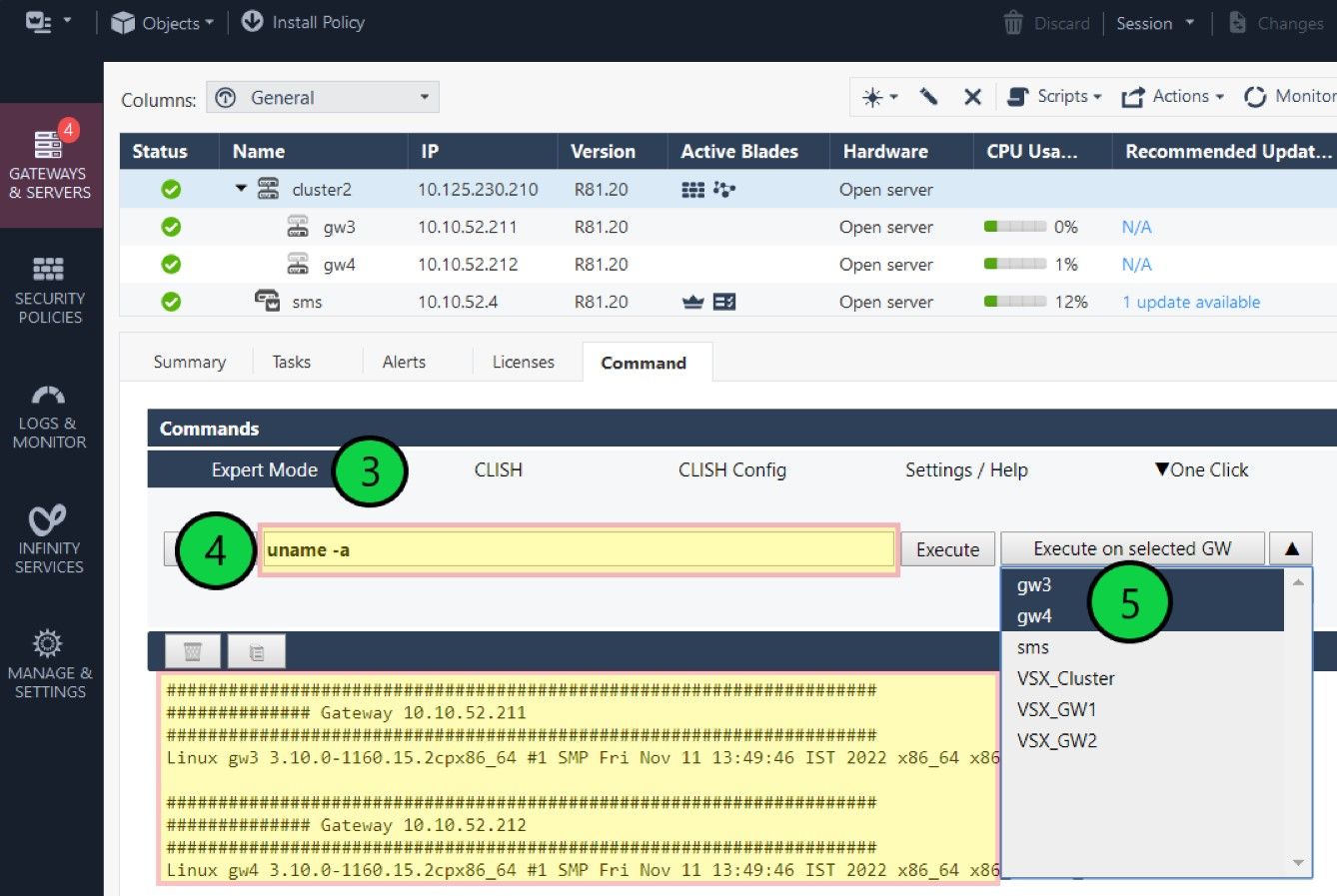 execute-cli-commands-on-selected-gateways-simultan-check-point