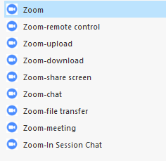 Zoom Applications.png