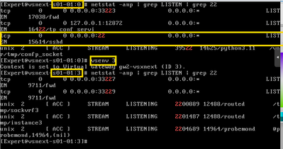 obraz (1).png