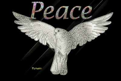 PeacePeaceDoveGIF.gif