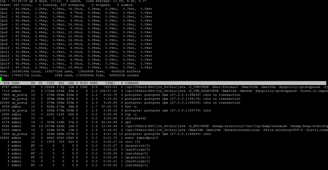 top -c output